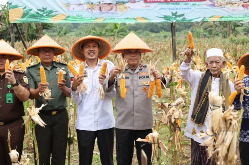 Polda Banten Perkuat Swasembada Pangan lewat Panen Raya Jagung