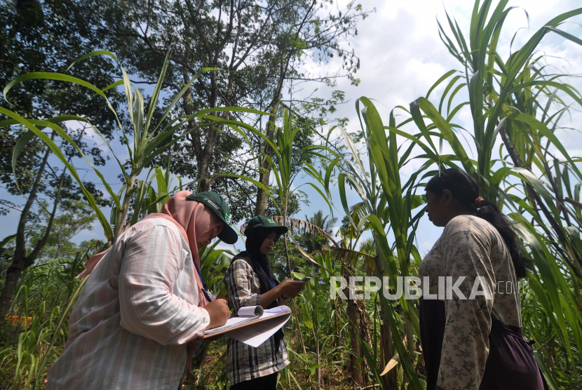 Petugas Badan Pusat Statistik (BPS) melakukan pendataan lapangan pada pelaksanaan sensus pertanian subsektor perkebunan (ilustrasi)