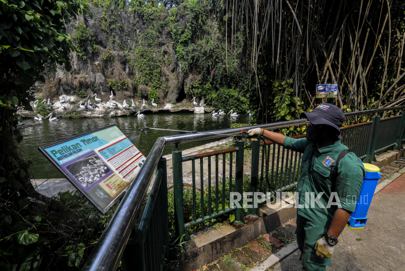 Petugas menyemprotkan disinfektan saat simulasi persiapan pembukaan kembali Taman Margasatwa Ragunan di Jakarta, Kamis (11/6). Ragunan akan dibuka kembali untuk umum pada Sabtu (20/6), dengan jumlah pengunjung maksimal sebanyak 1