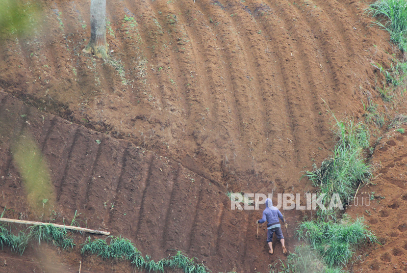Aktivitas penduduk mempersiapkan lahan untuk ditanami berbagai komoditas pertanian, di lereng perbukitan di kawasan perbukitan Cimenyan, Kabupaten Bandung, Rabu (7/10).
