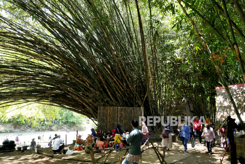 Mojokerto Canangkan Desa Claket Jadi Sentra Pembibitan Bambu (ilustrasi).