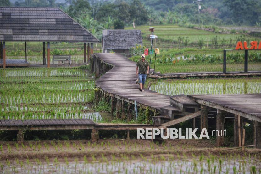 Menikmati Libur Akhir Pekan di Kampung Wisata Agro Eduwisata Organik Mulyaharja
