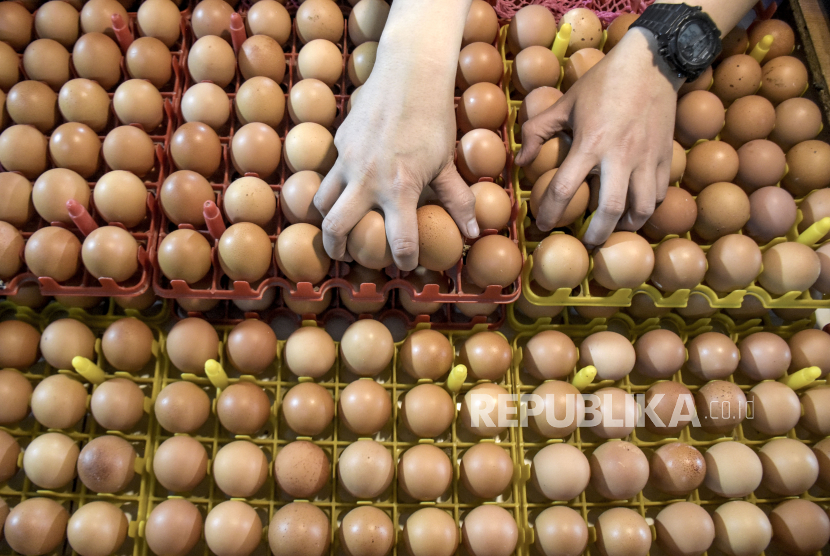 Pedagang menata telur ayam. Harga telur ayam menunjukkan kenaikan di beberapa daerah.