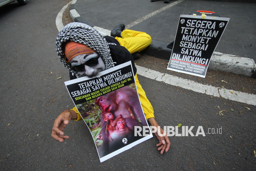Aksi Teatrikal Seniman Pantomim Suarakan Solidaritas untuk Primata