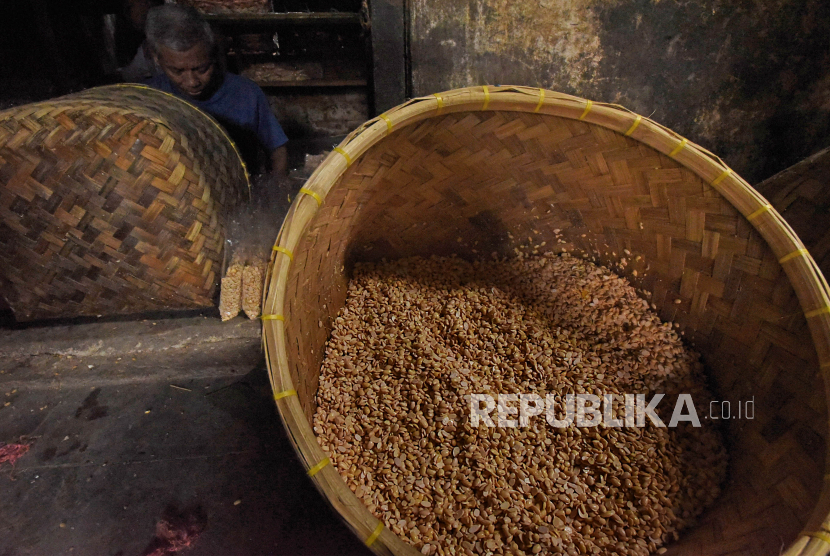 Pekerja mencuci kedelai untuk pembuatan tempe di Kampung Pejaten, Kramatwatu, Serang, Banten. Pengamat minta Pemerintah petakan kebutuhan riil kedelai di pengolahan dan industri