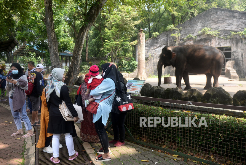 Sejumlah wisatawan menyaksikan Gajah sumatra (Elephas maximus sumatranus) di Taman Margasatwa Ragunan, Jakarta, Jumat (14/5). Pemprov DKI Jakarta pada libur Lebaran 2021 membuka sejumlah tempat wisata, salah satunya Taman Margasatwa Ragunan yang diperuntukan khusus bagi warga ber-KTP DKI Jakarta dan membatasi jumlah wisatawan dengan kapasitas 30 persen. Prayogi/Republika
