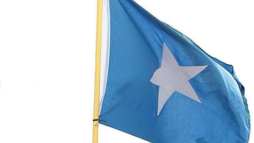 Somalia tunjuk perdana menteri baru