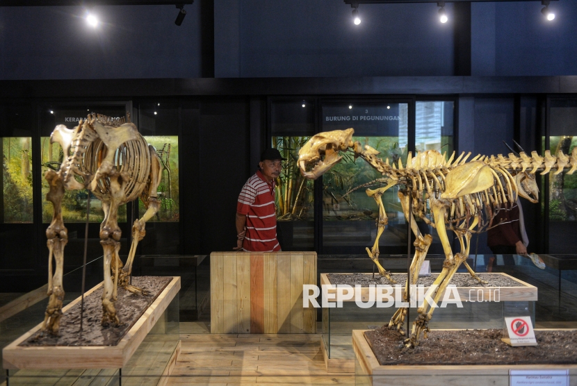 Mengunjungi Museum Zoologi, Destinasi Wisata Edukasi di Kota Bogor