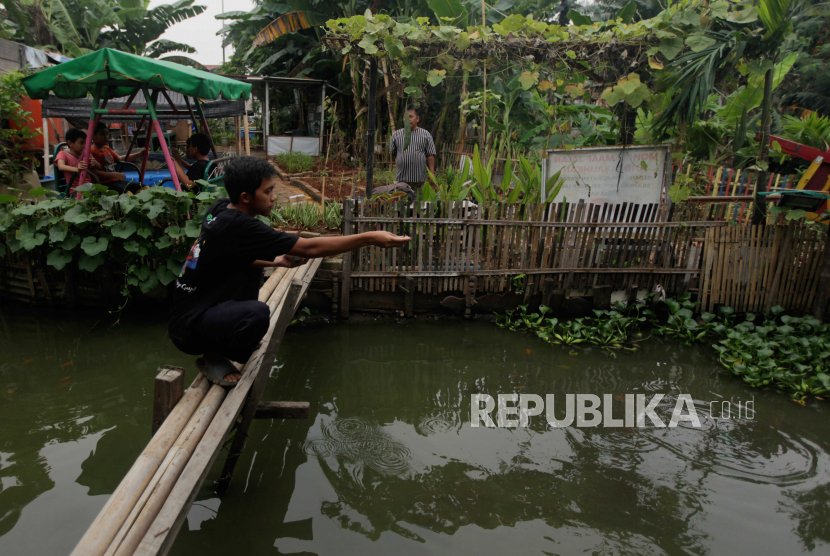 Warga memberi pakan ikan yang dibudidayakan di Kampung Literasi, Klender, Jakarta Timur, Kamis (13/7/2023) (ilustrasi).