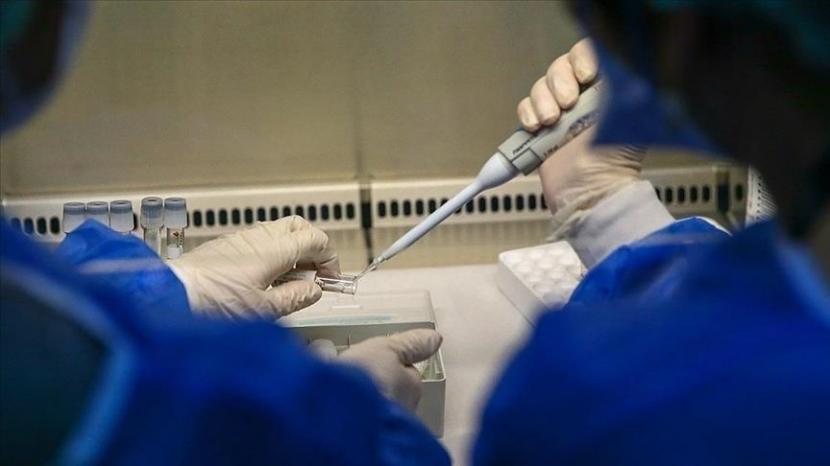 Australia pada Kamis (4/8/2022) mengatakan negaranya telah mengamankan ratusan ribu dosis vaksin cacar monyet setelah melaporkan puluhan kasus.