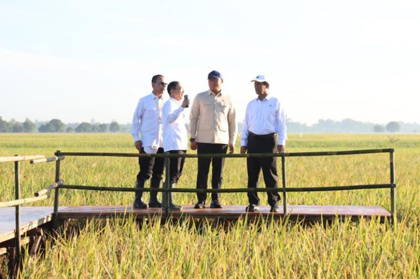 Mentan optimistis Indonesia segera wujudkan swasembada beras.
