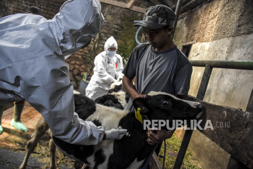 Dinas Pertanian (Distan) Kota Bandarlampung mendapatkan tambahan 500 dosis vaksin penyakit mulut dan kuku (PMK) guna disuntikkan pada ternak sapi milik peternak di kota itu.