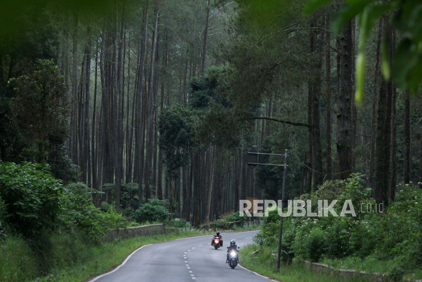 Arus lalu lintas lengang di jalur wisata kawasan hutan Pinus, Jalan Tangkuban Parahu, Kecamatan Lembang, Kabupaten Bandung Barat