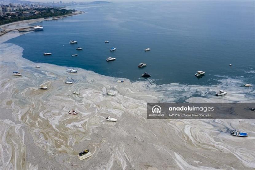 - Presiden Turki mengatakan pemerintah akan mendeklarasikan seluruh Laut Marmara sebagai kawasan konservasi yang dilindungi - Anadolu Agency