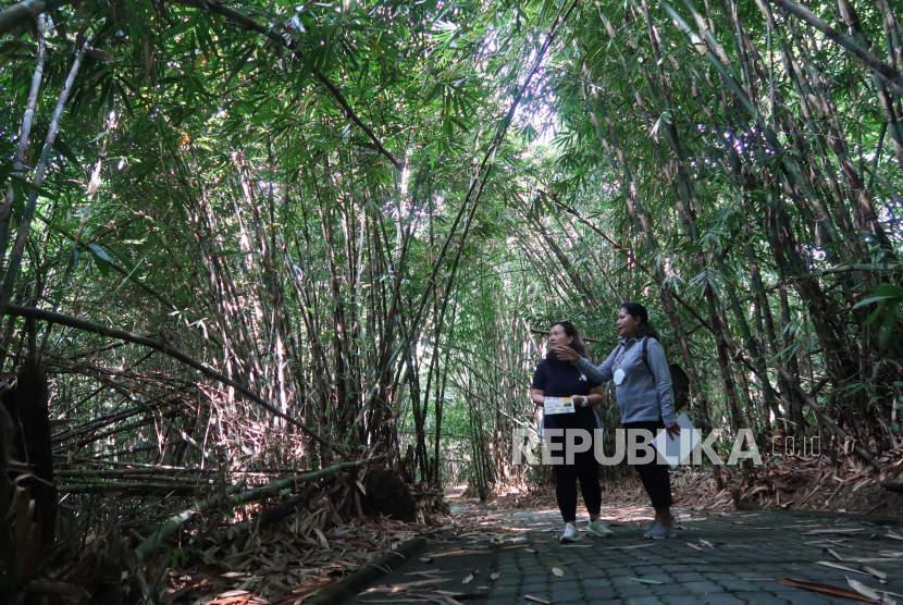 Kawasan Kebun Bambu, Bali, Rabu (30/11/2022) (ilustrasi).