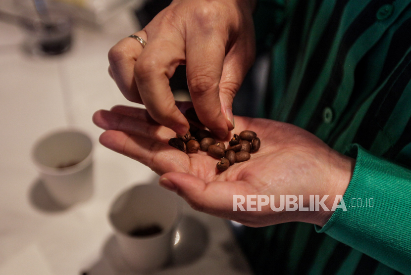 Peserta memilih biji kopi pada acara Indonesia Manual Brew Competition 2023 di Marketing Galery Vasaka Solterra, Pejaten, Jakarta Selatan, Sabtu (2/9/2023).