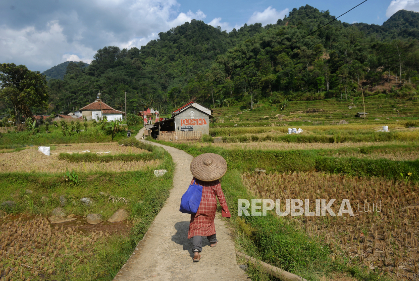 Petani usai memanen padi di Desa Cibunian, Kecamatan Pamijahan, Kabupaten Bogor, Jawa Barat, Senin (2/10/2023). 