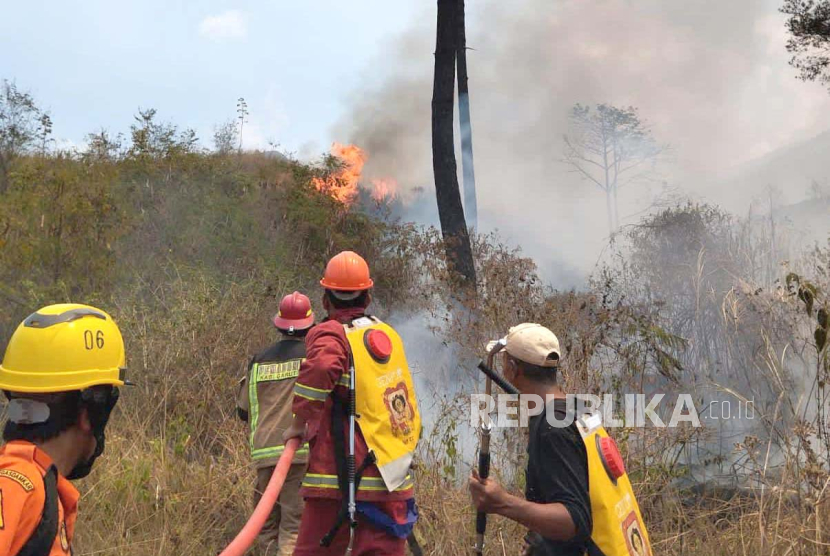 Petugas melakukan pemadaman api yang membakar lahan di Gunung Guntur, Kabupaten Garut, Kamis (7/9/2023). 