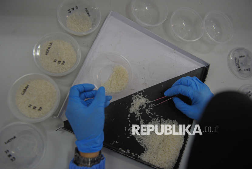 Petugas lab melakukan uji laboratorium beras premium di Balai Pengujian Mutu Produk Kementeriam Pertanian, Jakarta, Kamis (17/7/2025). Pengujian tersebut dilakukan untuk mengetahui kualitas beras premium dengan ketentuan mutu berdasarkan regulasi dari Kementerian Pertanian dan Badan Pangan Nasional. Pengujian tersebut meliputi pengecekan kadar air, derajat sosoh (tingkatpenggilingan), jumlah butir kepala, butir patah, menir, gabah, butir rusak, butir kapur, butir merah, serta benda asing. Hal tersebut dilakukan untuk memverifikasi temuan penyimpangan mutu dan label beras.