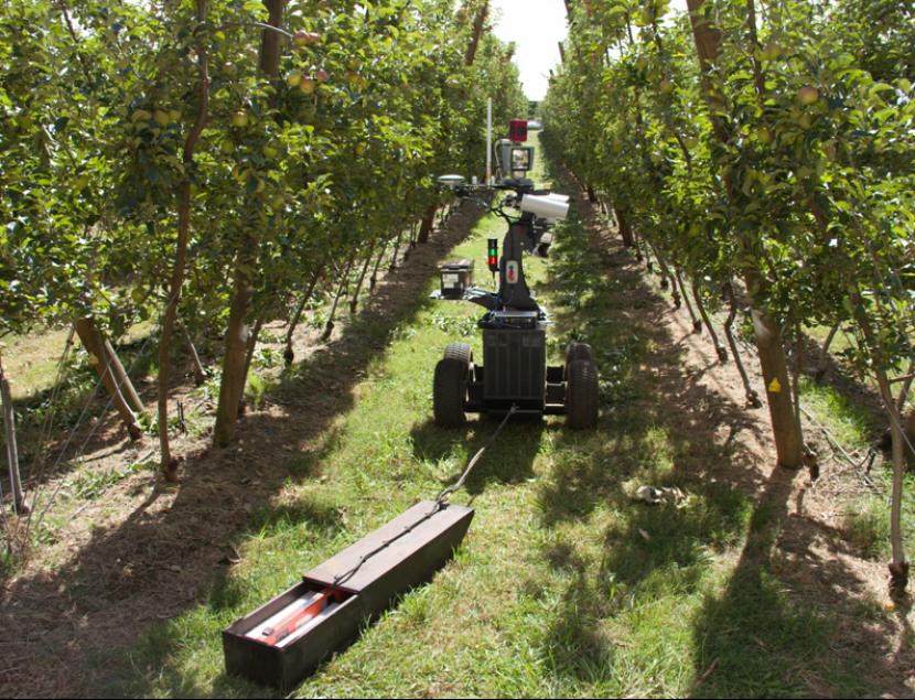 Teknologi robot untuk memetik buah di Australia kini semakin tersedia. 