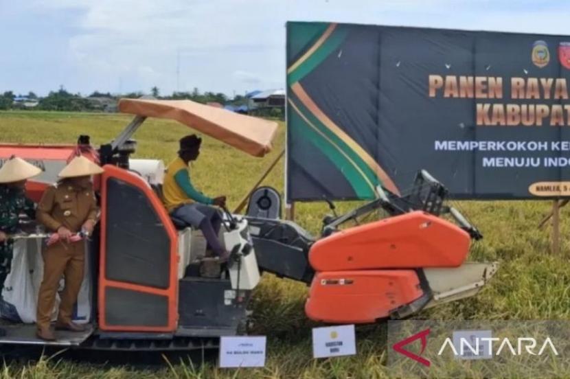Kabupaten Buru Surplus Beras 14.545 Ton pada 2025
