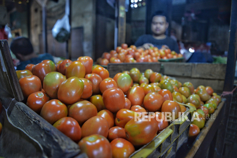 Pedagang menanta buah tomat yang dijual di Pasar Senen, Jakarta, Senin (15/1/2024). Harga tomat di pasar terpantau mengalami kenaikan yang cukup tinggi. Harga tomat melonjak dari harga biasanya Rp 20 ribu perkilogram menjadi Rp 30 ribu perkilogram. Menurut informasi pedagang kenaikan tersebut diakibatkan oleh musim hujan dan gagal panen. Tomat -tomat tersebut berasal dari Jawa Barat seperti Bandung dan Garut.