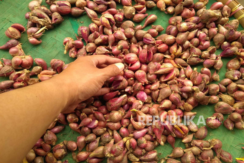 Harga bawang merah sudah mencapai Rp 40 ribu per kg di pasar tradisional Kota Bandar Lampung, Jumat (10/2/2023).