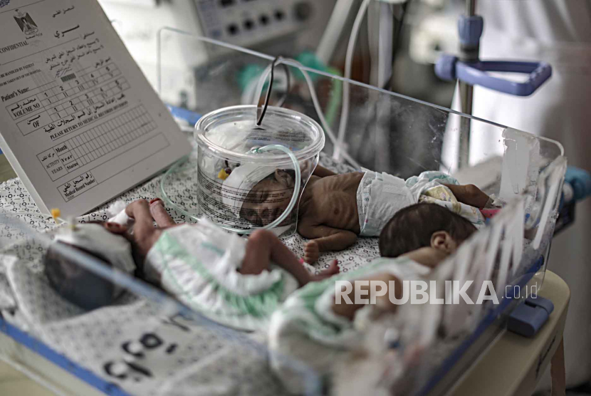 Babi-bayu prenatur yang terancam nasibnya di Rumah Sakit Gaza yang terus dinombardir Israel, (ikustrasi).