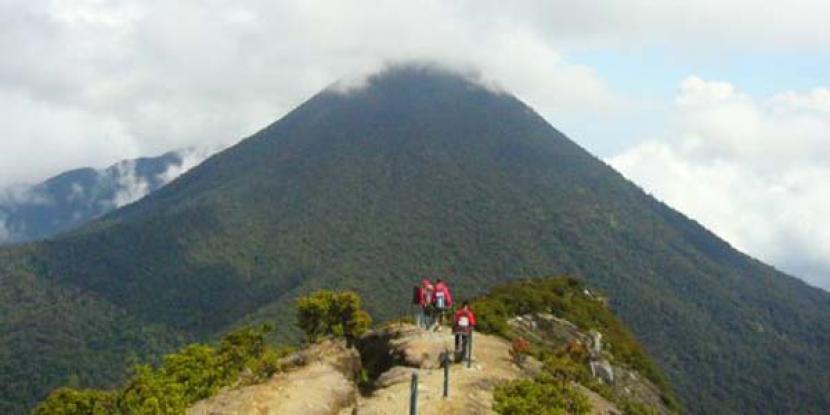  Gunung Gede Pangrango: Pendaki Tak Bisa Rayakan Tahun Baru di Puncak Gunung Gede Pangrango