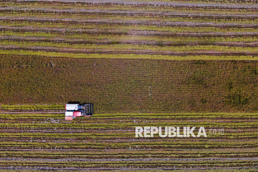 Bulog Sulawesi Tenggara Serap 15 Ribu Ton Gabah Kering Petani