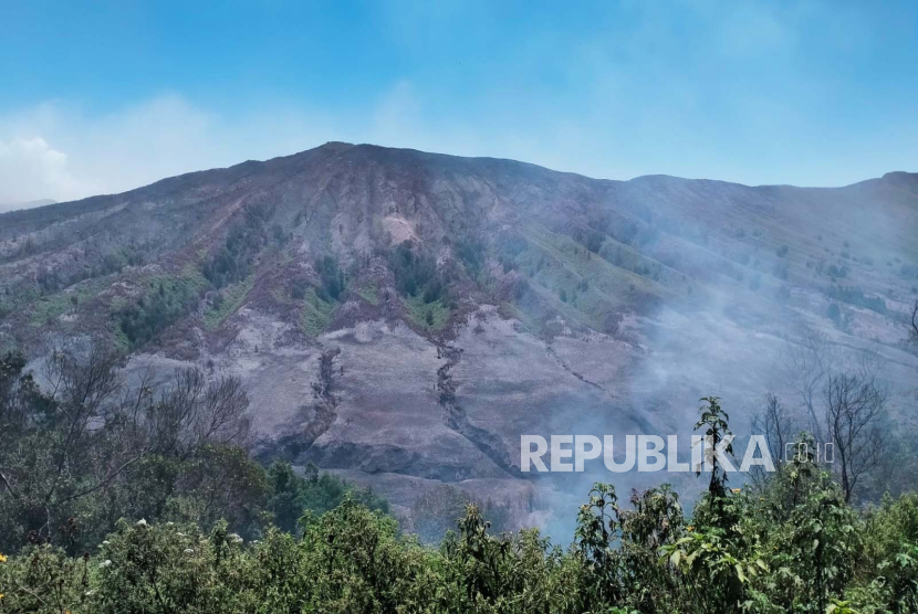 Kondisi terkini kawasan Gunung Bromo yang mengalami kebakaran akibat foto prewedding, Selasa (12/9/2023).