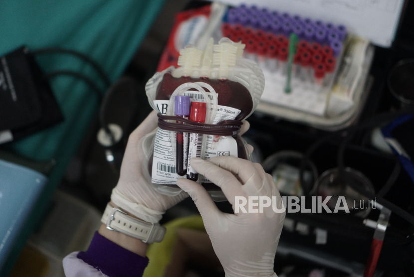 Petugas Palang Merah Indonesia (PMI) merapikan kantong yang berisi darah pendonor saat kegiatan donor darah.