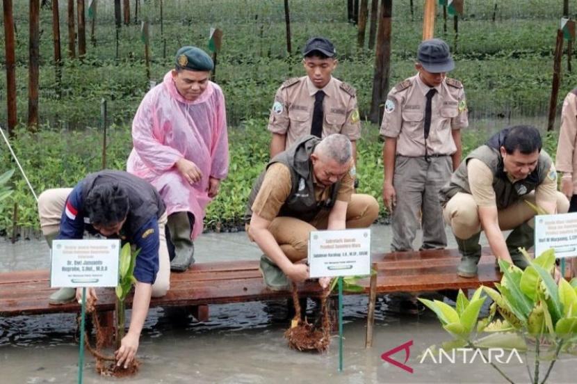 Pemprov Sumut Tanam Mangrove Seluas 8.307 Hektare untuk Pelestarian Ekosistem