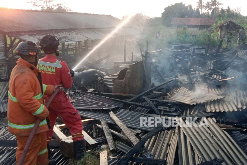 Petugas memadamkan kebakaran yang melanda kandang ternak di Desa Karangmuncang, Kecamatan Cigandamekar, Kabupaten Kuningan, Jawa Barat, Rabu (6/9/2023). 