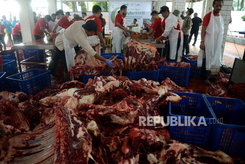 Panitia memotong daging hewan kurban yang telah disembelih di Rumah Potong Hewan (RPH) Masjid Istiqlal, Jakarta, Sabtu (1/7/2023). Pada tahun 2023 ini masjid Istiqlal menyembelih 43 ekor sapi dan 8 ekor kambing jumlah itu meningkat hampir 50 persen di banding tahun 2022 lalu. Sedangkan untuk pendistribusian daging kurban tidak dilakukan secara langsung, namun dilakukan melalui perwailan Masjid, Mushola, Yayasan atau Lembaga yang telah mengajukan permohonan berupa proposal. 