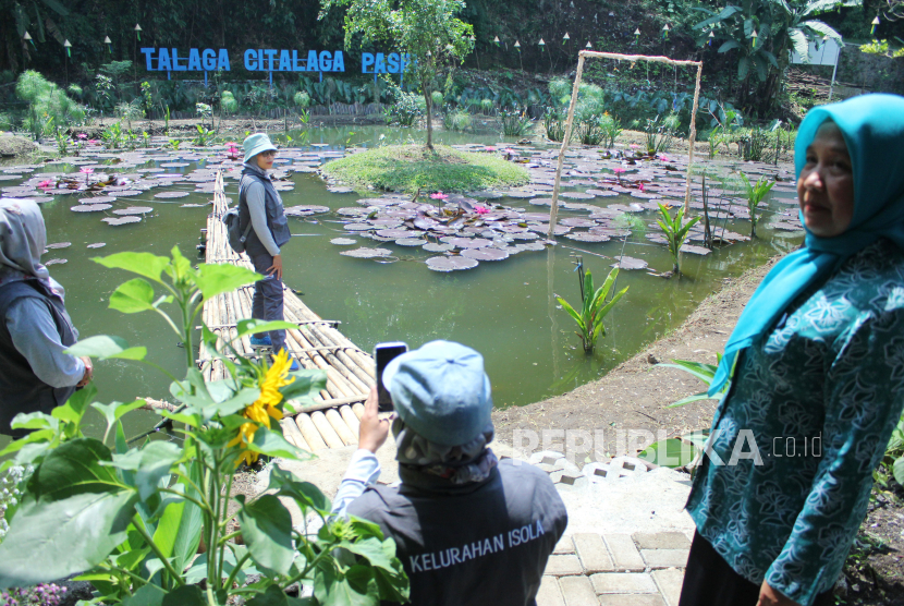 Suasana Talaga Citalaga Pasir di wilayah Kelurahan Isola, Kecamatan Sukasari, Kota Bandung, Jawa Barat, Rabu (13/12/2023). 