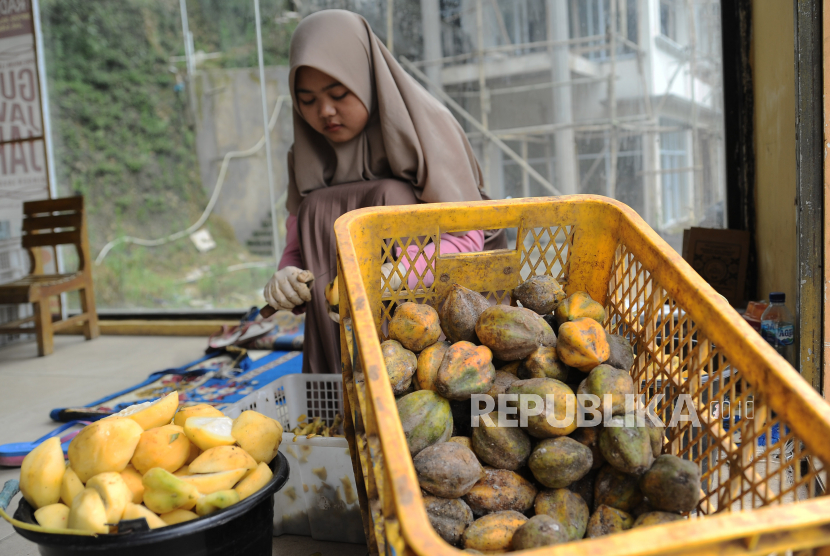 Pekerja mengupas buah carica (Family Caricaceae) di sebuah industri pengolahan buah carica di kawasan dataran tinggi Dieng Desa Patak Banteng, Kejajar, Wonosobo, Jateng (ilustrasi). 