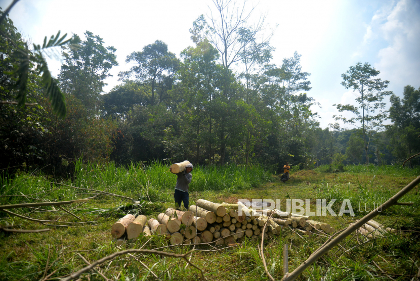 Warga menebang pohon di lokasi yang rencananya untuk tempat pembuangan akhir (TPA) sampah sementara, Dusun Karanggeneng, Cangkringan, Sleman, Yogyakarta.