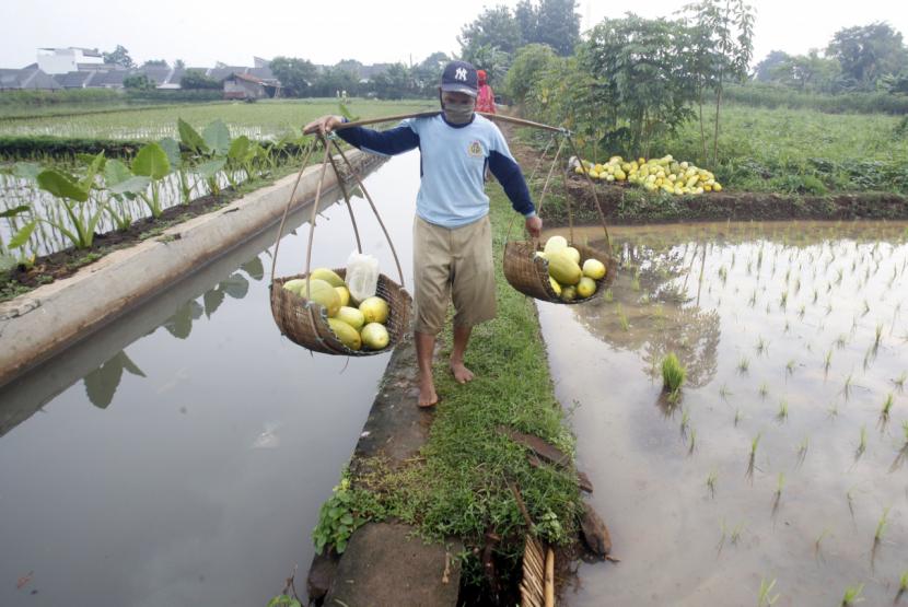 Petani Dapat Bansos Tunai Rp 600 Ribu