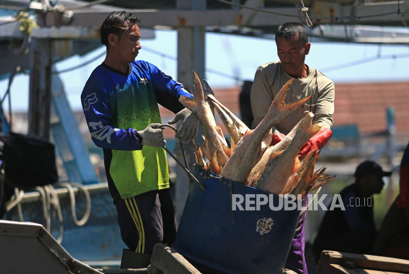 Nelayan melakukan bongkar muat ikan. Bandara Karel Sadsuitubun dan Pelabuhan Tual siap mendukung kegiatan ekspor komoditas perikanan di kota Tual