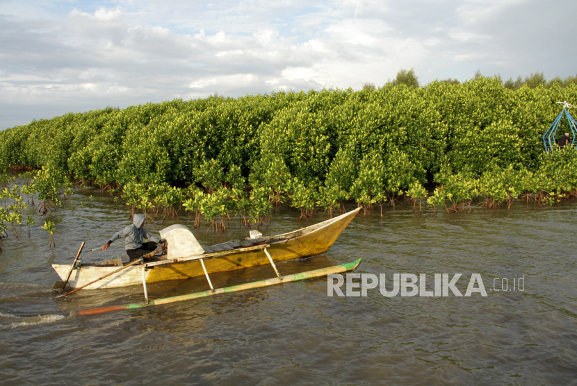 Nelayan melintas menggunakan perahu di kawasan mangrove di Sulawesi Selatan (ilustrasi). Kawasan wisata mangrove Tongke-tongke masih menunggu pengembangan.
