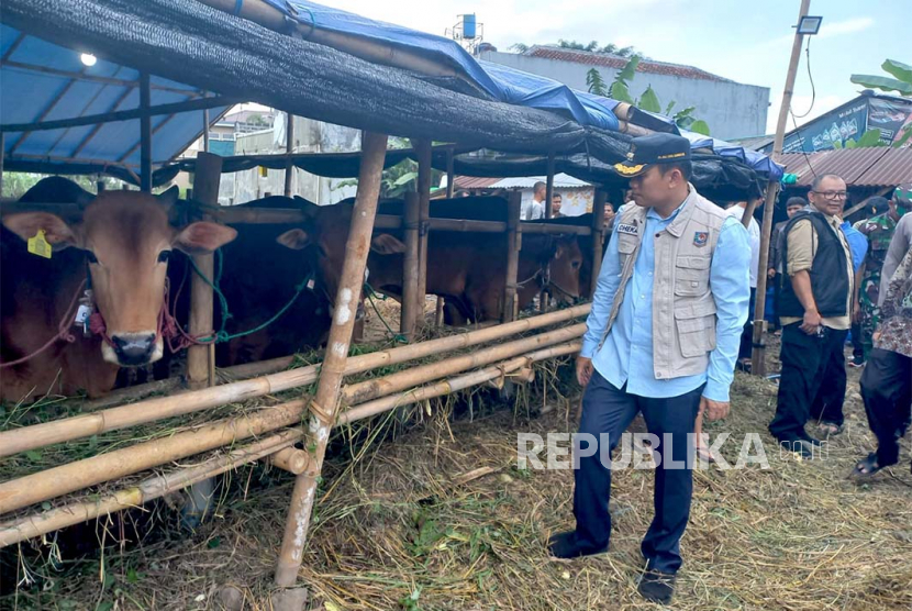 Penjabat (Pj) Wali Kota Tasikmalaya Cheka Virgowansyah melakukan pemantauan ke sejumlah lapak penjualan hewan kurban di Kota Tasikmalaya, Jawa Barat, Jumat (23/6/2023). 