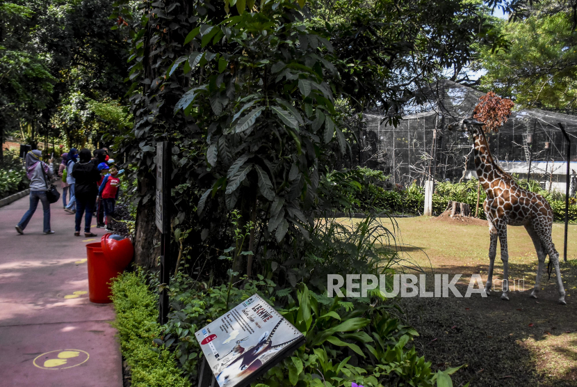 Sejumlah pengunjung melihat koleksi satwa di Bandung Zoological Garden, Kota Bandung, Jumat (21/8). Sedikitnya seribu pengunjung menikmati suasana Bandung Zoological Garden sebagai pilihan wisata pada masa libur panjang akhir pekan. Foto: Abdan Syakura/Republika