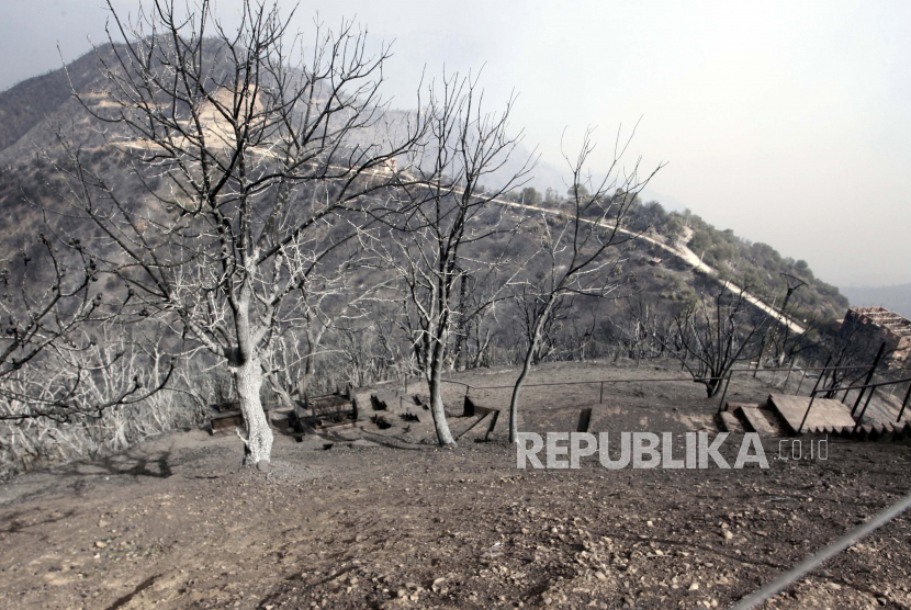 Pohon-pohon yang terbakar terlihat di dekat Tizi Ouzou, sekitar 100 km (62 mil) timur Aljazair menyusul kebakaran hutan di wilayah pegunungan ini, Selasa, 10 Agustus 2021.