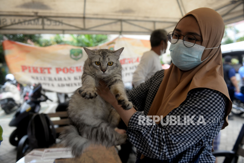 Warga menunjukan kucing peliharaannya jelang disuntikan vaksin antirabies di kantor Kelurahan Kenari, Kecamatan Senen, Jakarta Pusat, Kamis (8/4). 