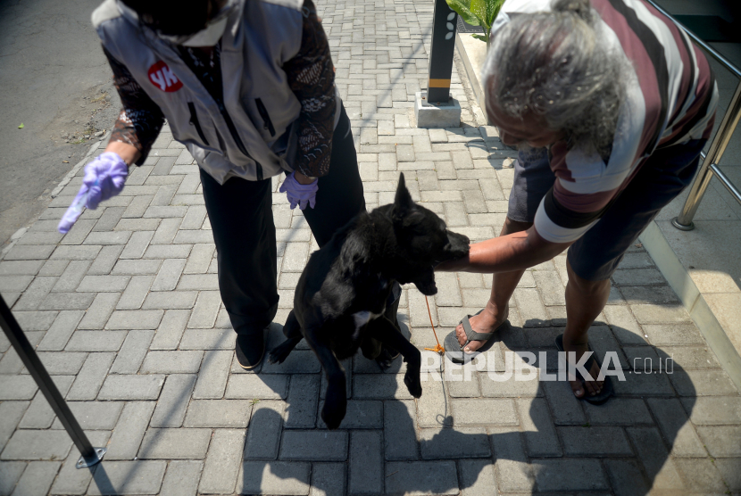 Hewan peliharaan anjing milik warga memberontak saat penyuntikan vaksin rabies di Kelurahan Wirobrajan, Yogyakarta, Selasa (5/9/2023). Untuk mempertahankan kasus nol penyakit rabies sejak 1997 Dinas Pertanian dan Pangan Kota Yogyakarta mengadakan vaksinasi rabies gratis untuk hewan peliharaan kucing, anjing, dan monyet milik warga yang berdomisili di Kota Yogyakarta. Sebanyak 2.300an vaksin rabies disiapkan untuk vaksinasi yang disebar pada 45 titik kelurahan dan 13 klinik hewan. Kegiatan vaksinasi ini akan berlangsung hingga 27 September mendatang.