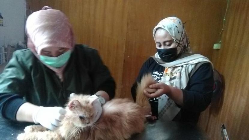 Ini Besaran Tarif Pelayanan Dokter Hewan Puskeswan Pandeglang