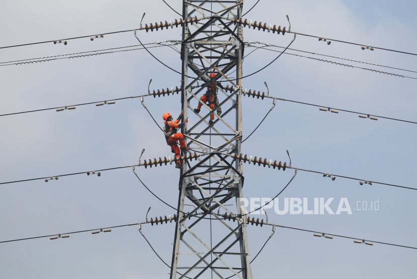 Dua orang pekerja melakukan perawatan Saluran Udara Tegangan Extra Tinggi (Sutet) di Desa Doko, Kediri, Jawa Timur. 