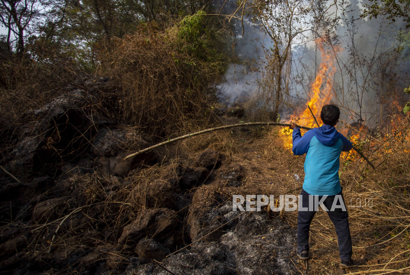 Kebakaran hutan (ilustrasi). Petugas pemadam kebakaran gabungan masih terus berupaya memadamkan kebakaran hutan di Puncak Habibie Cikembang, Sukabumi, Jawa Barat. (ILUSTRASI).