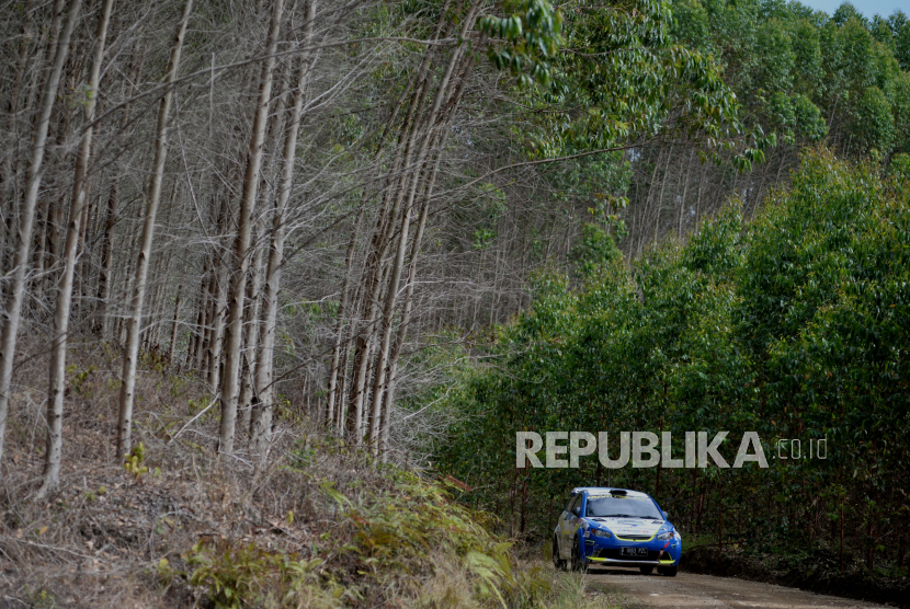 Toba Pulp Lestari Ungkap Belum Terima Surat Pencabutan Usaha dari Pemerintah